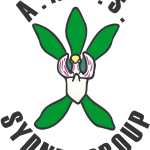ANOS Logo