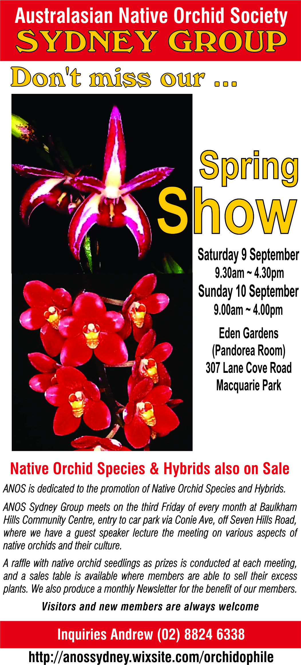 ANOS Sydney Spring show – Australasian Native Orchid Society Inc.