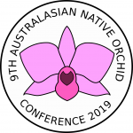 anos conference logo